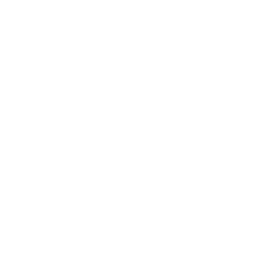 Purrfectly Clean